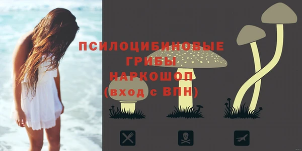 а пвп мука Алзамай